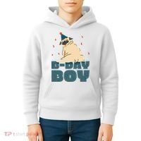 Birthday Boy Pug Kids Hoodie thumb 4