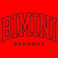 Bimini Bahamas Preppy Retro Throwback Souvenir Santa Hat thumb 1