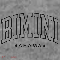 Bimini Bahamas Preppy Retro Throwback Souvenir Toddler Hoodie thumb 2