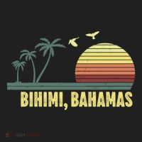 Bihimi Bahamas Souvenir Vacation Travel Reminder Gift Women's Sweatshirt thumb 2
