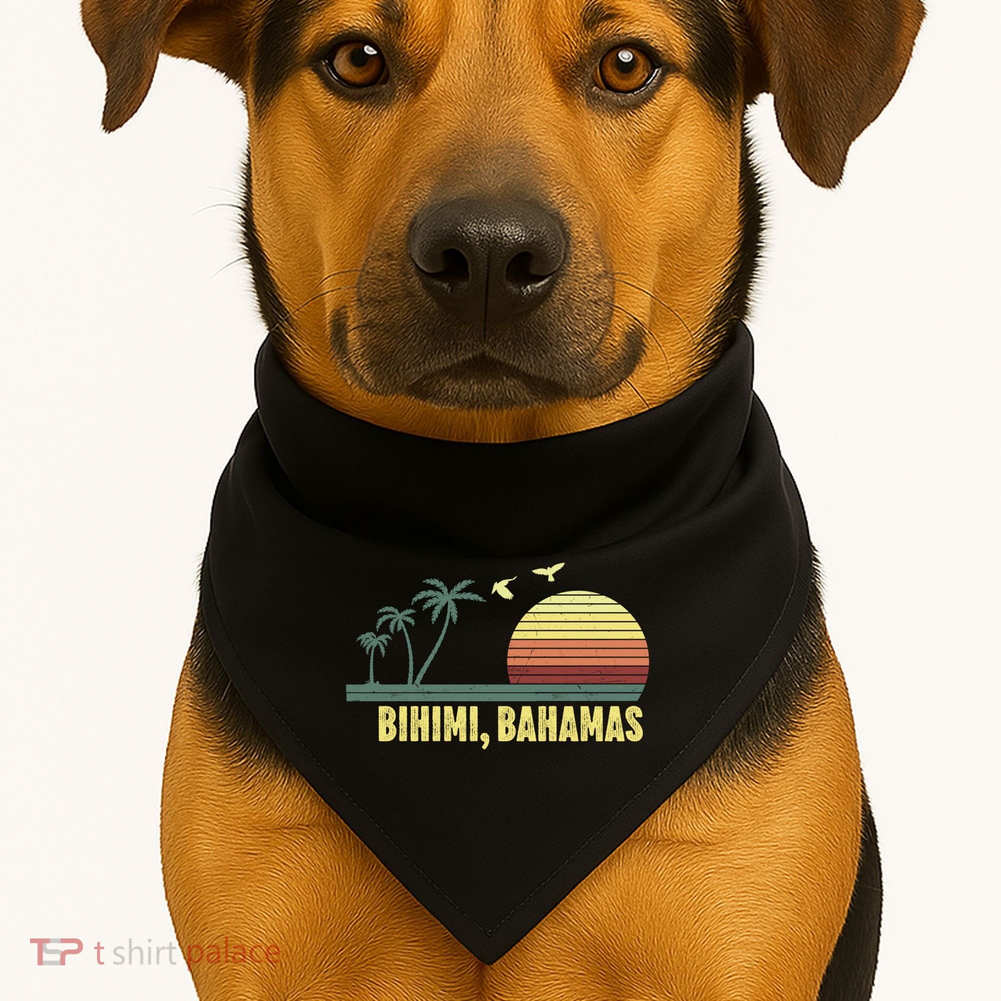 Bihimi Bahamas Souvenir Vacation Travel Reminder Gift USA-Made Doggie Bandana