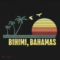 Bihimi Bahamas Souvenir Vacation Travel Reminder Gift Bucket Hat thumb 4