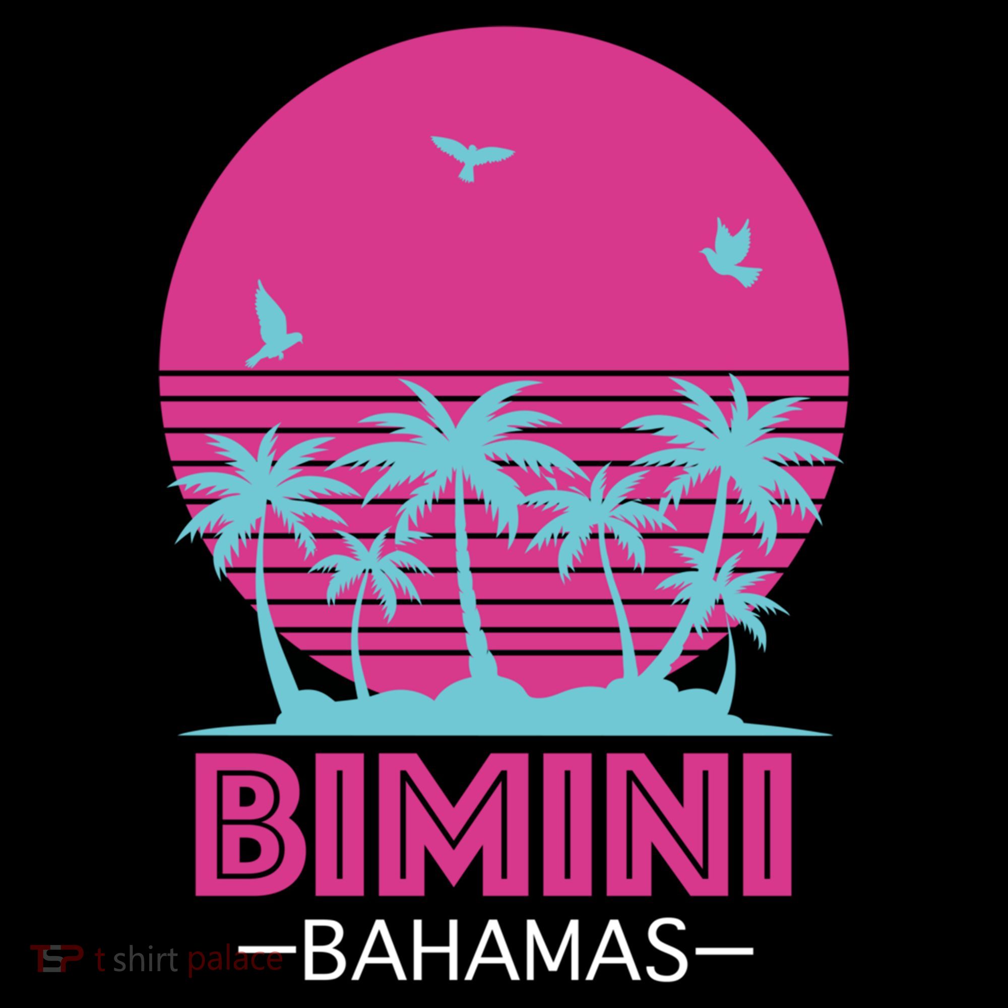 Bihimi Bahamas Souvenir Vacation Travel Reminder Great Gift Coffee Mug