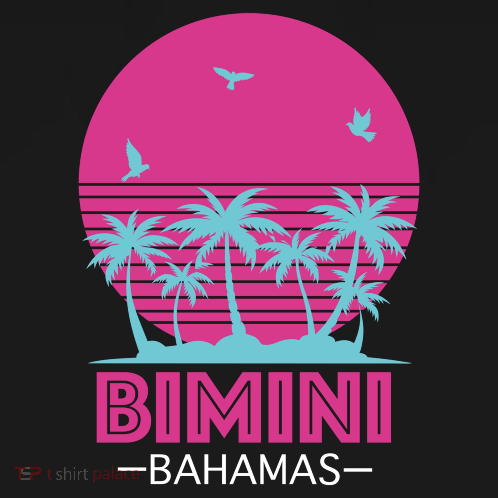 Bihimi Bahamas Souvenir Vacation Travel Reminder Great Gift Women's Hoodie