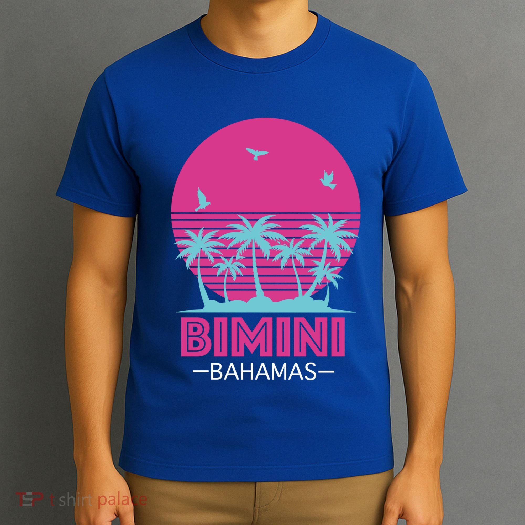 Bihimi Bahamas Souvenir Vacation Travel Reminder Great Gift T-Shirt