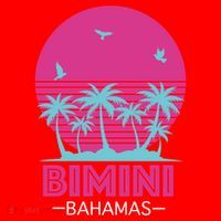 Bihimi Bahamas Souvenir Vacation Travel Reminder Great Gift Santa Hat thumb 1