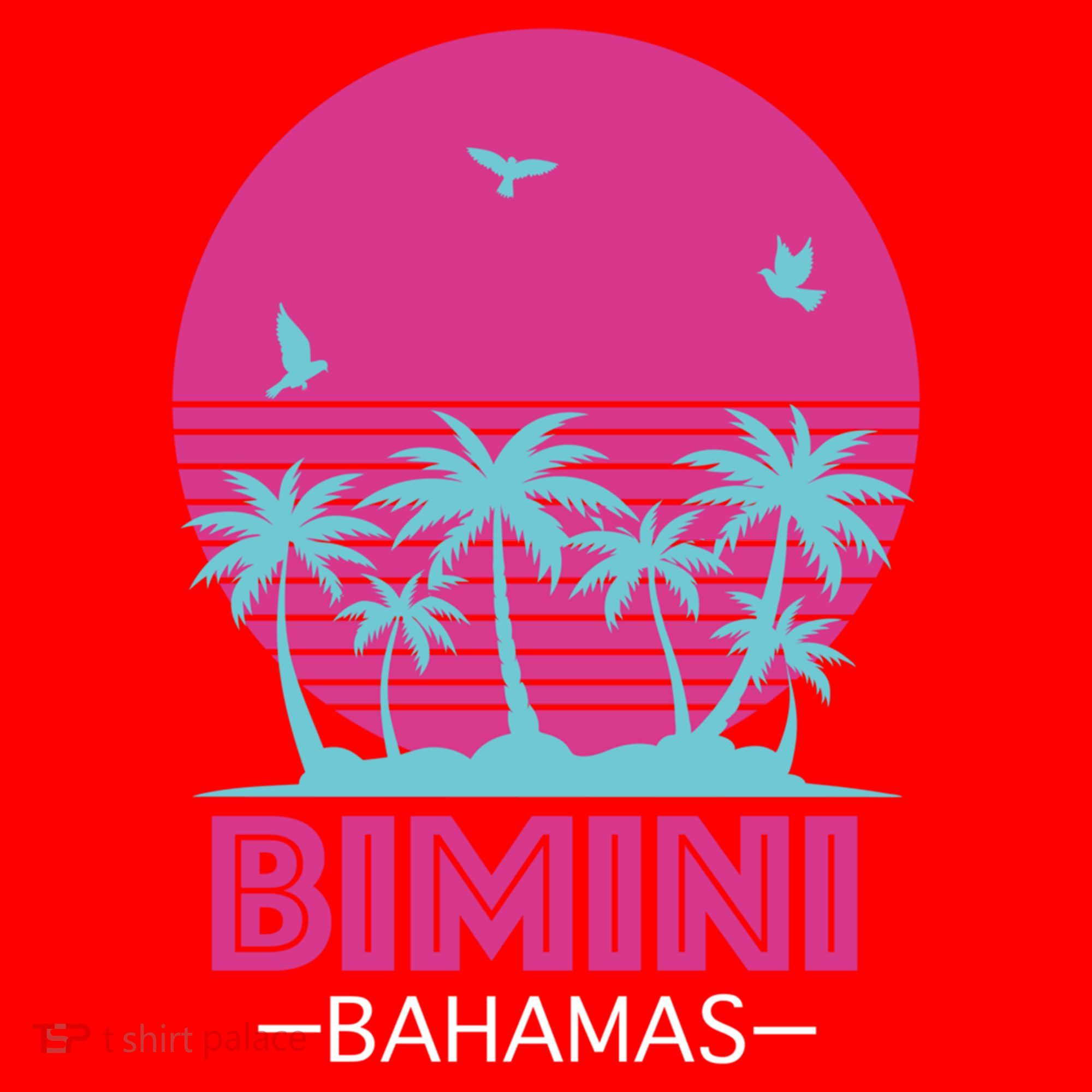 Bihimi Bahamas Souvenir Vacation Travel Reminder Great Gift Santa Hat