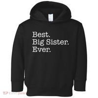 Best Big Sister Ever Toddler Hoodie thumb 0