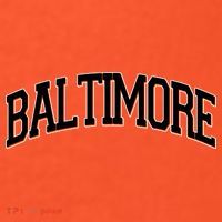 Baltimore Baseball Sport Logo Hat thumb 2