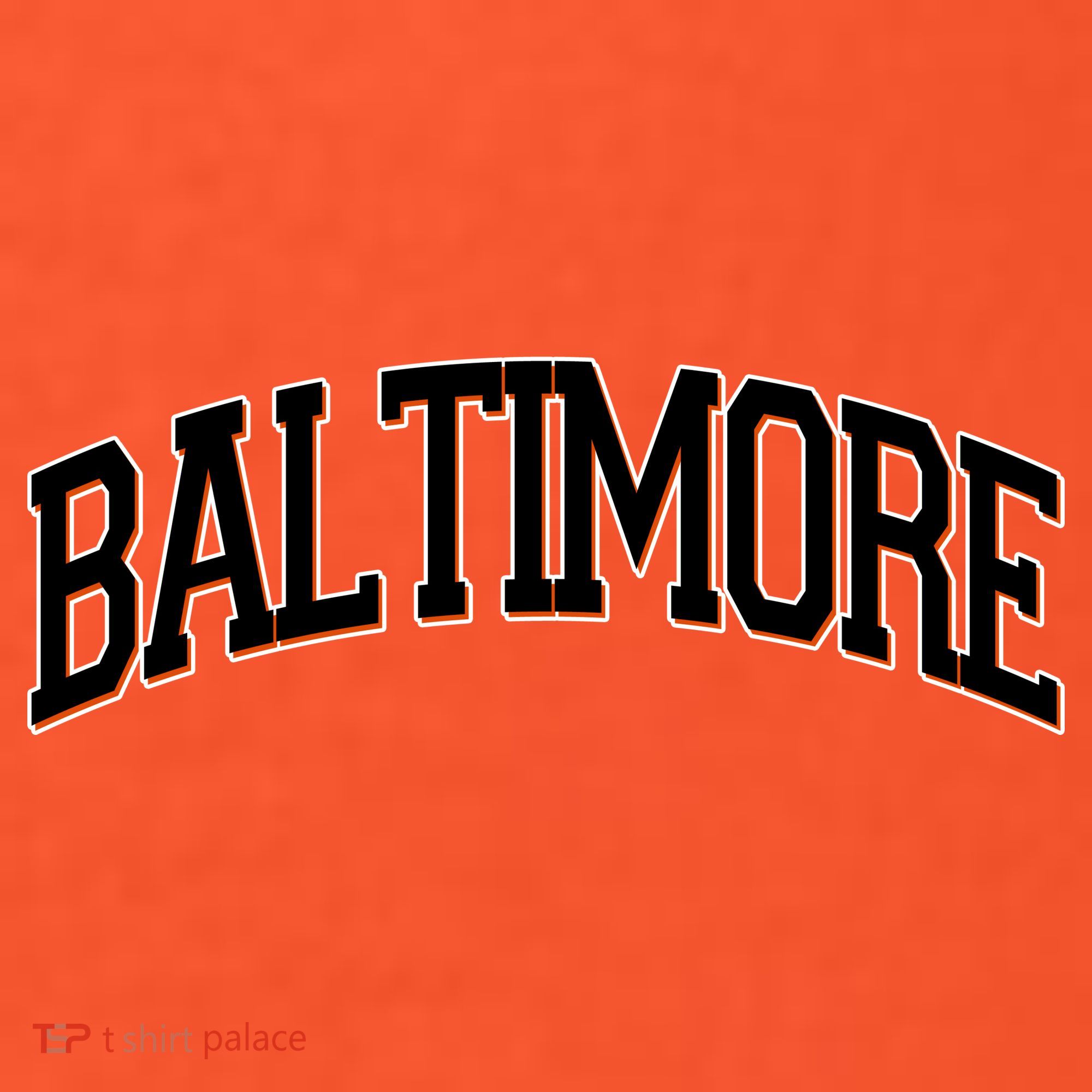 Baltimore Baseball Sport Logo Kids Hoodie