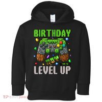 Birthday Boy Time To Level Up Video Game Birthday Gamer Boy Toddler Hoodie thumb 0