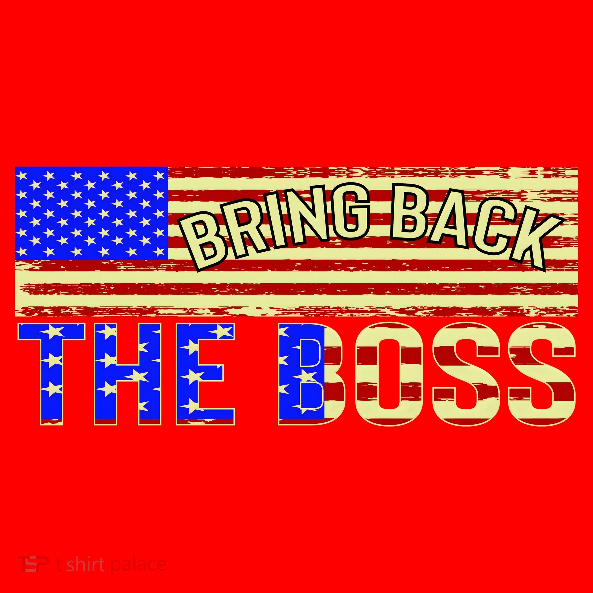 Bring Back The Boss Donald Trump Santa Hat