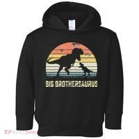 Big Brothersaurus T Rex Dinosaur Big Brother Saurus Family Toddler Hoodie thumb 0