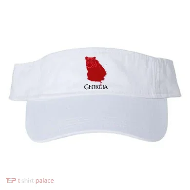 Visor