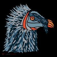 Bartgeier Bearded Vulture Ossifrage LäMmergeier Women's Hoodie thumb 2