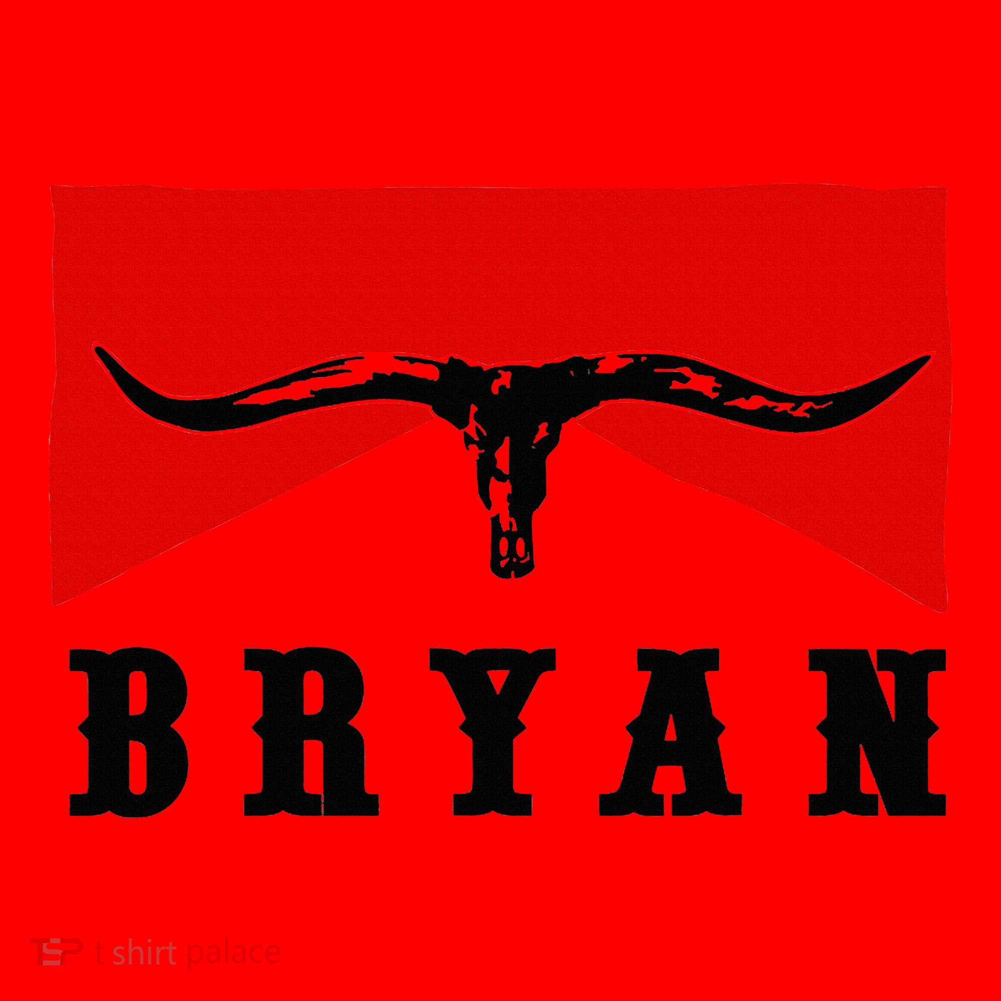 Bryan Bullhead Western Cowboy Cow Skull Santa Hat