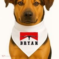 Bryan Bullhead Western Cowboy Cow Skull USA-Made Doggie Bandana thumb 1