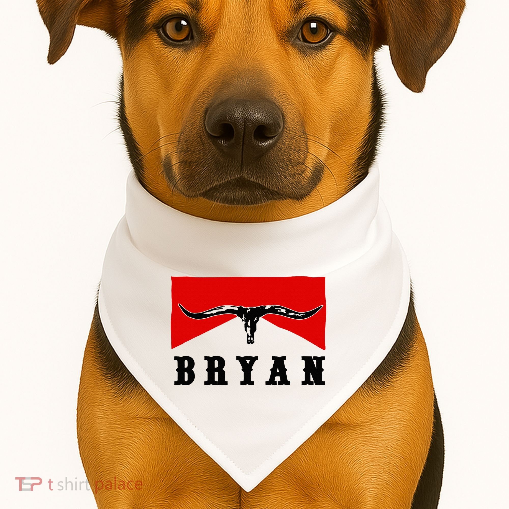 Bryan Bullhead Western Cowboy Cow Skull USA-Made Doggie Bandana