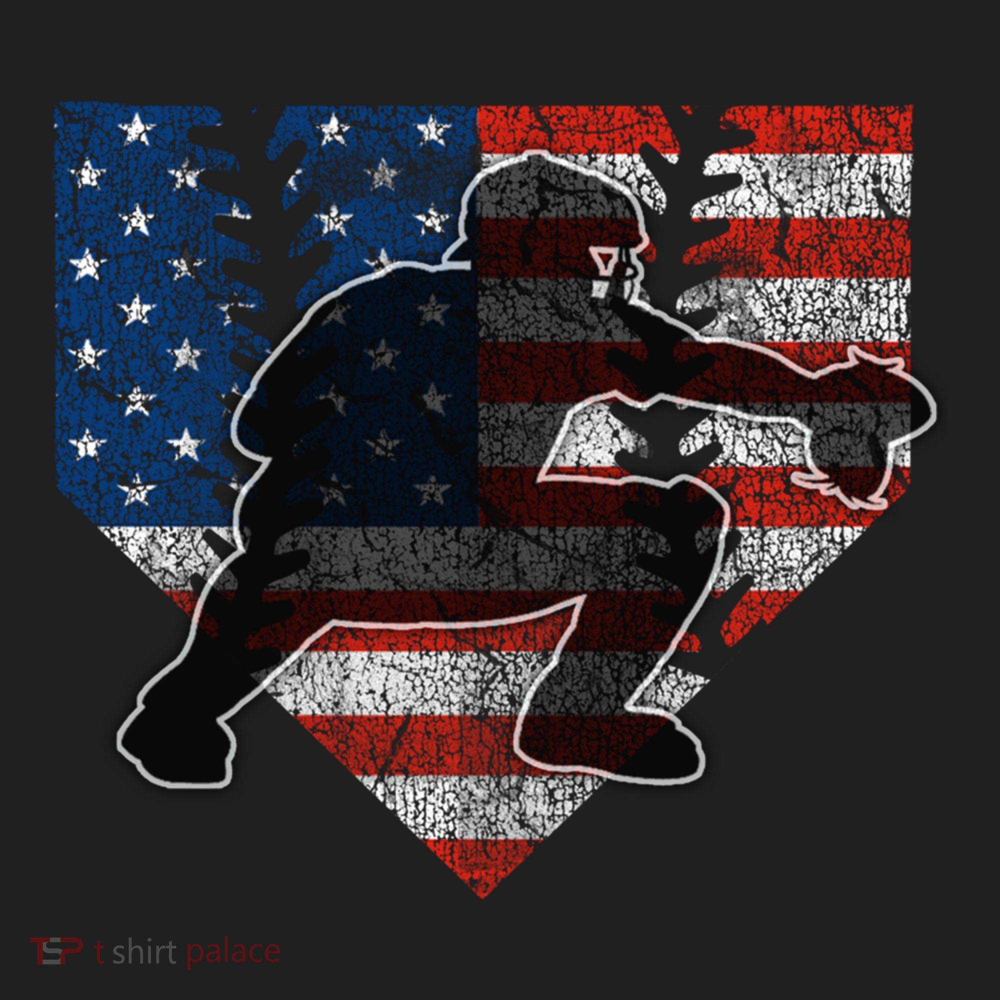 Baseball Catcher American Flag Home Plate Funny Gift Beanie
