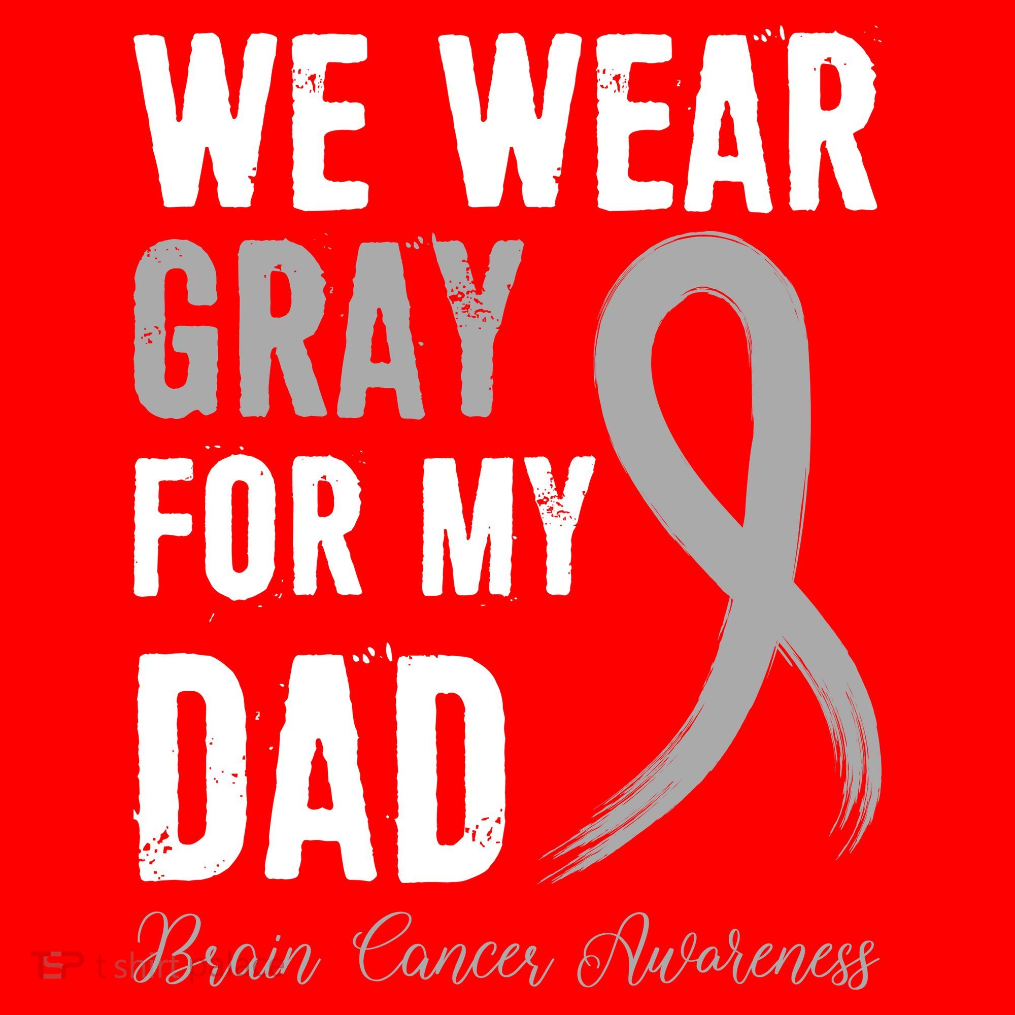 Brain Cancer Awareness T Santa Hat