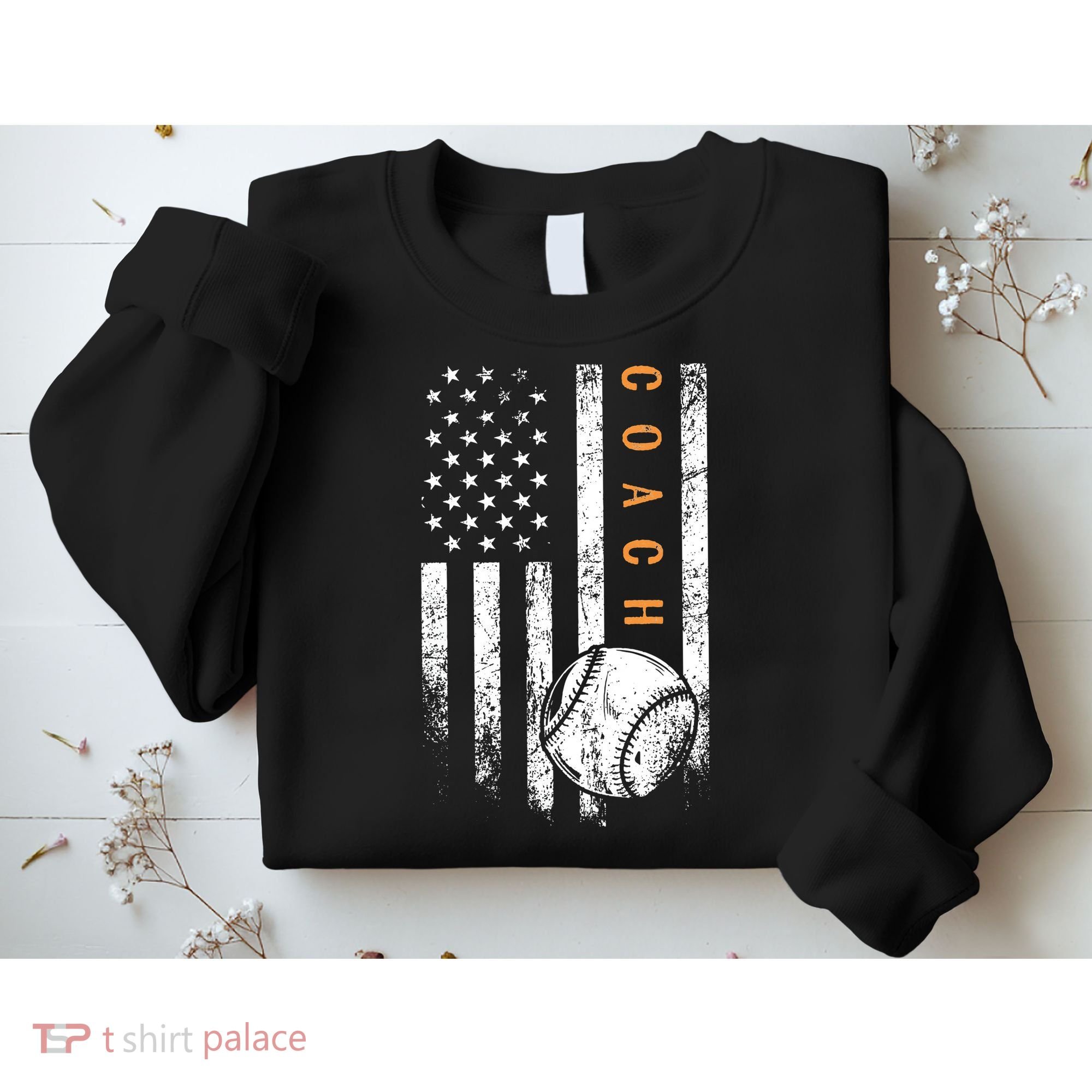 Baseball Coach American Flag Baseball Trainer Coaching Sweatshirt