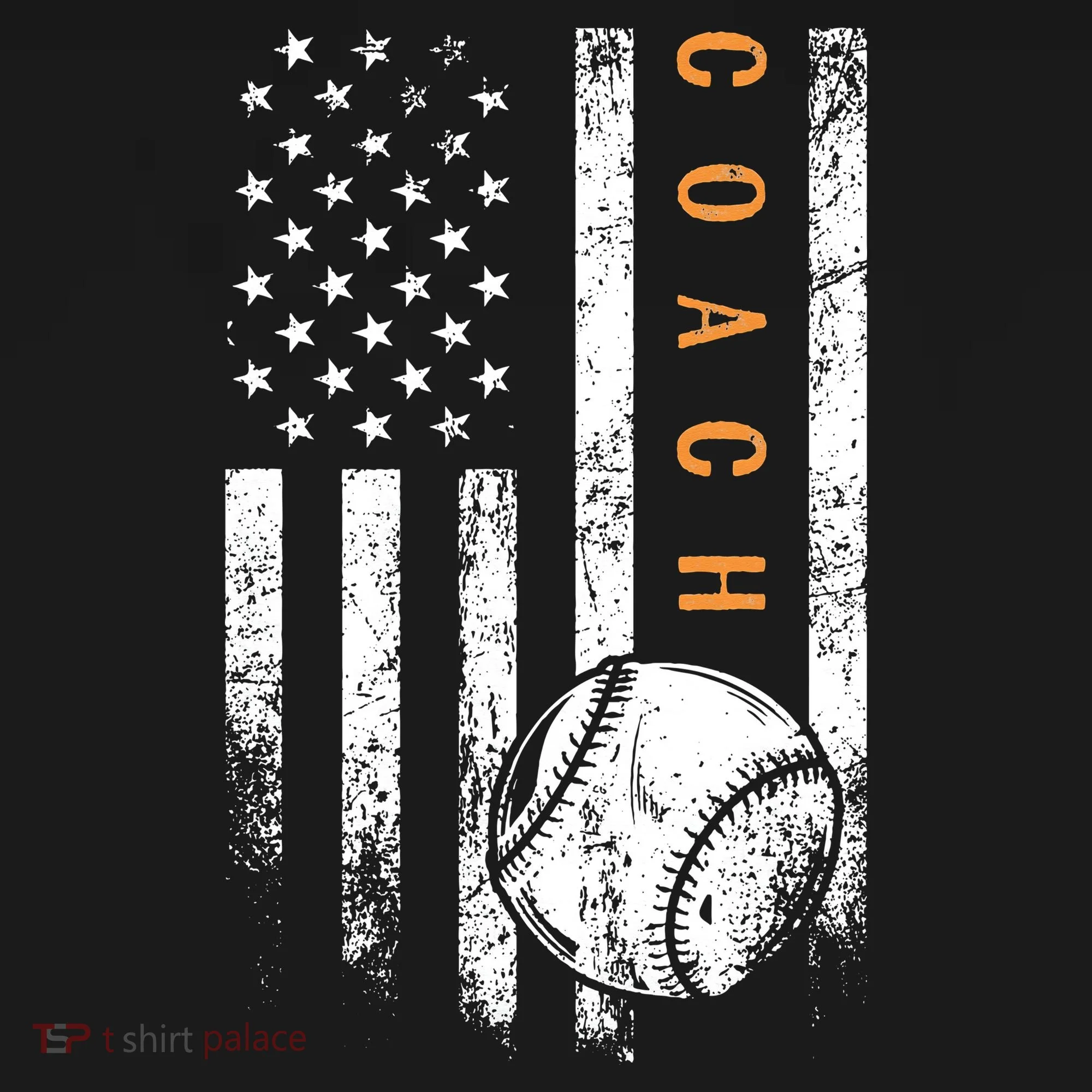 Baseball Coach American Flag Baseball Trainer Coaching Toddler Hoodie