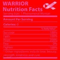 Breast Cancer Awareness Warrior Nutrition Facts Faith Hope Santa Hat thumb 1
