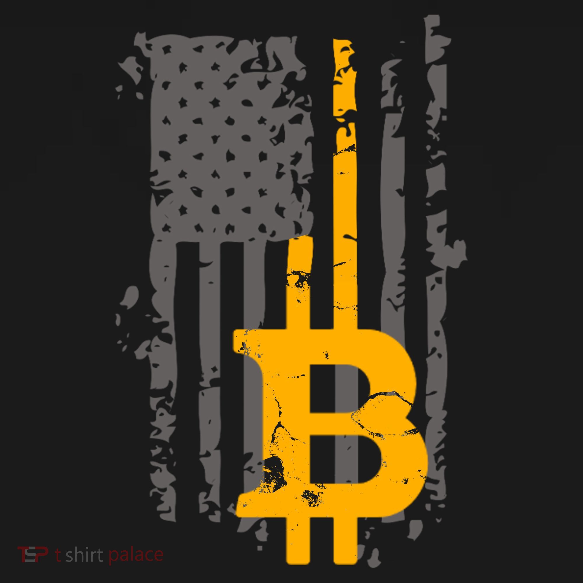 Bitcoin Crypto American Flag Gold Thin Line Pajama Set
