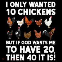 Best Chicken Art Poultry Themed Chicken Farmer Women's Hoodie thumb 2
