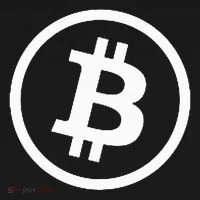 Bitcoin Cryptocurrency Btc Neck Position Bitcoin Kids Long Sleeve Shirt thumb 2