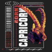 Born Capricorn Hat thumb 2