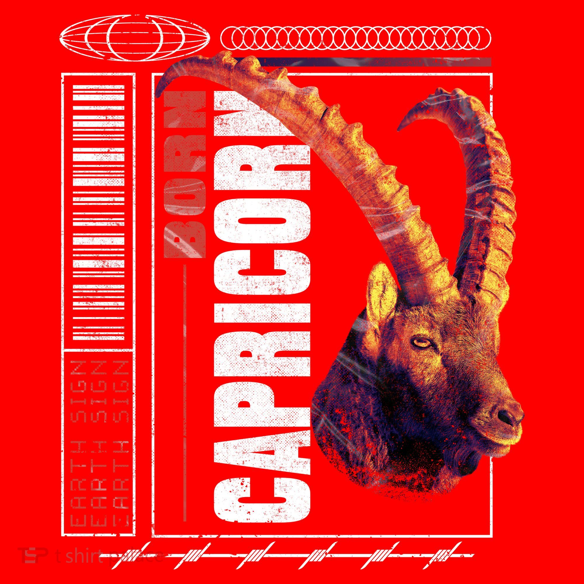 Born Capricorn Santa Hat