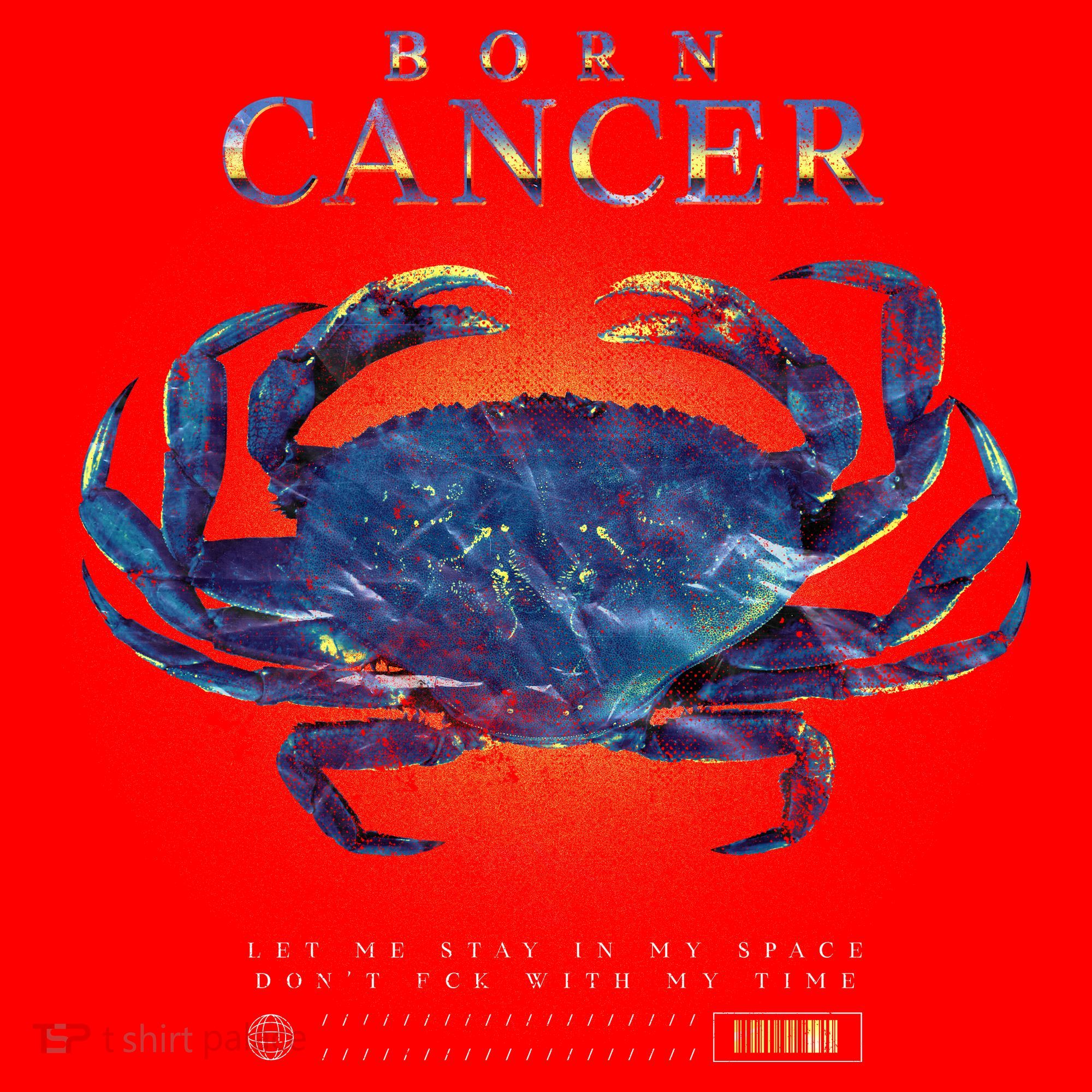 Born Cancer Santa Hat