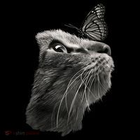 Butterfly & Cat Butterflies Gifts Coffee Mug thumb 5