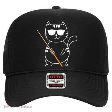 Billiard Cat Billiard Player Billard 8ball Pool Snooker Hat