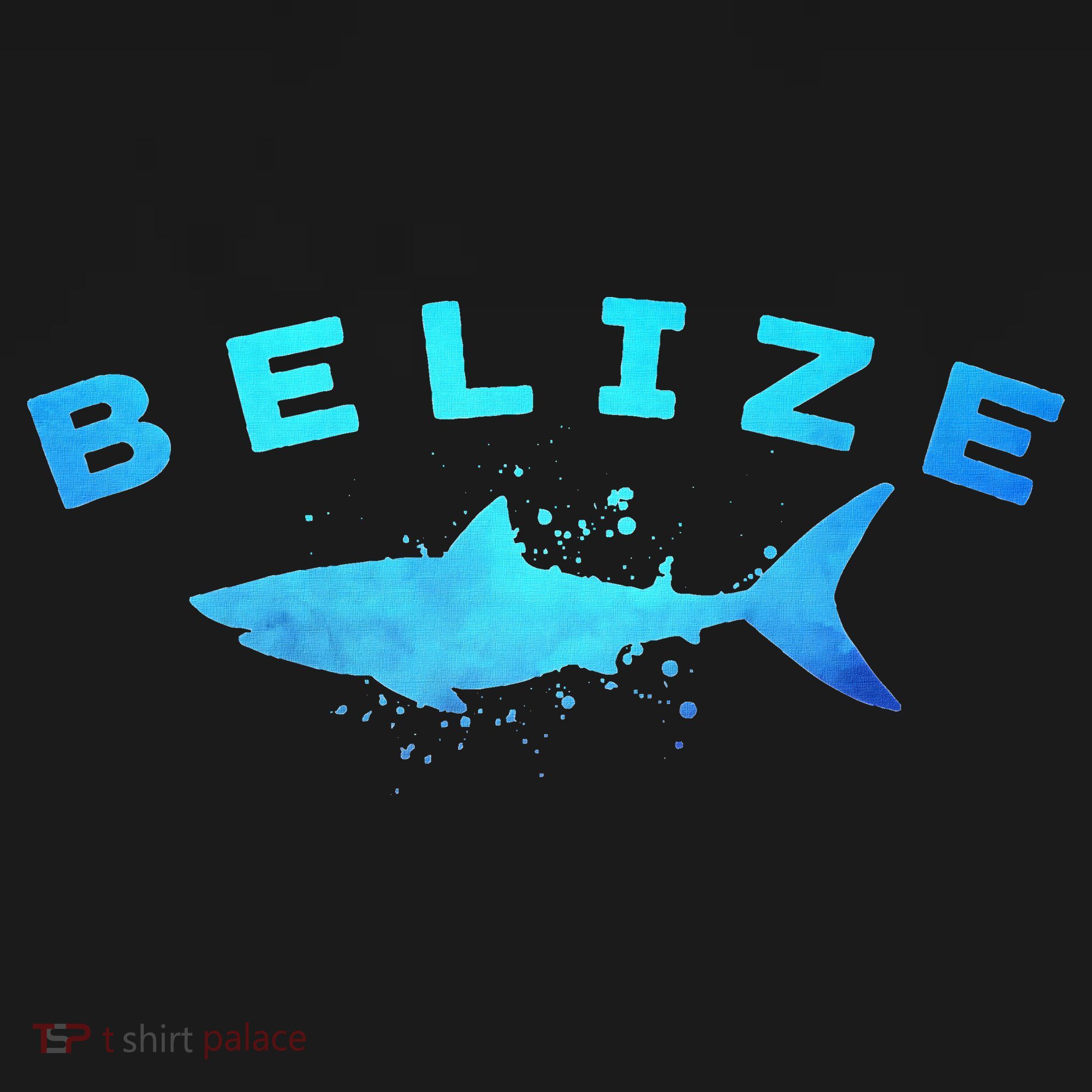 Belize Caribbean Beach Vacation Diving Trip Vintage Shark T-Shirt