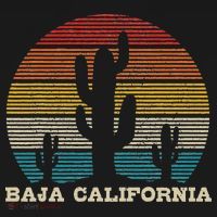 Baja California Cactus Vintage Retro Desert Souvenir Gift T-Shirt thumb 7