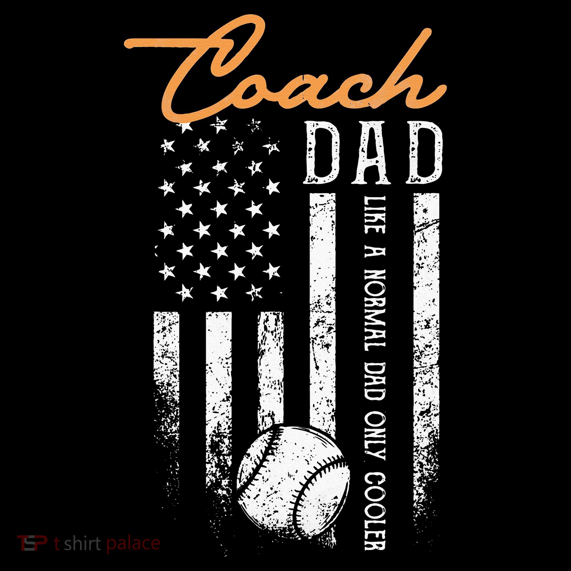 Baseball Coach Dad Like A Normal Dad Only Cooler USA Flag Hoodie