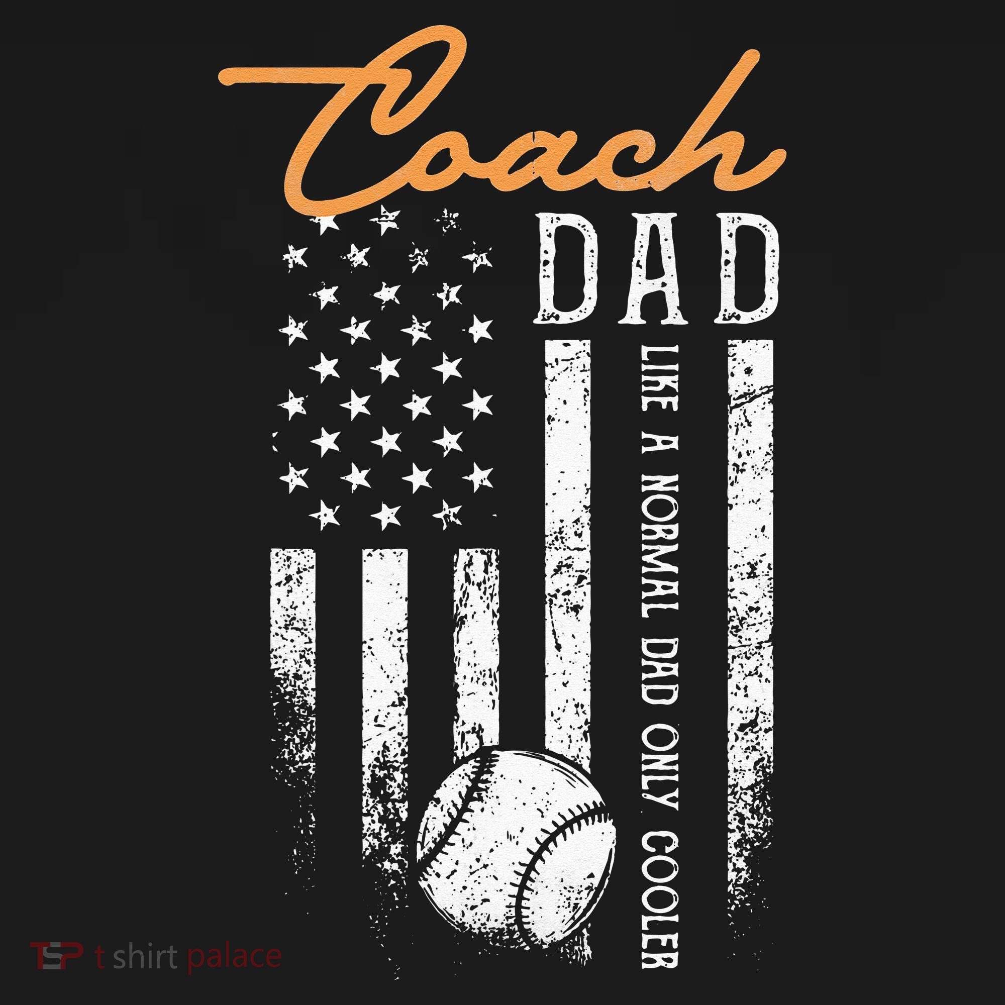 Baseball Coach Dad Like A Normal Dad Only Cooler USA Flag Toddler T-Shirt