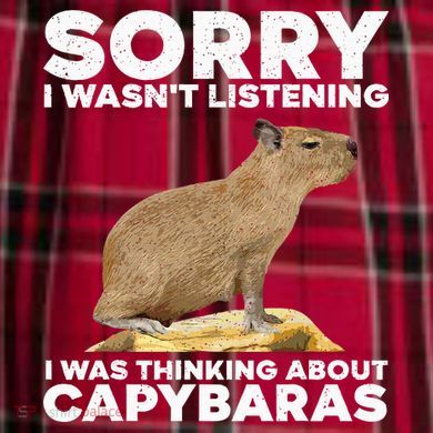 Best Capybara Design For Pet Rodent Capybara Women's Flannel Plaid Pajama Pants