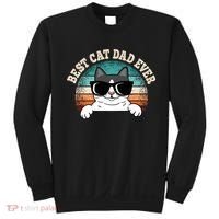 Best Cat Dad Ever Cat Lover Cat Owner Sweatshirt thumb 0