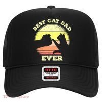 Best Cat Dad Ever Cute Cat Lover Funny Hat thumb 0