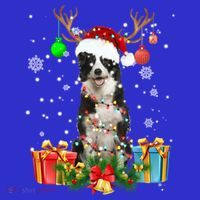 Border Collie Dog Tree Christmas Lights Ugly Xmas Sweater Gift Women's Tank Top thumb 5