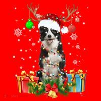 Border Collie Dog Tree Christmas Lights Ugly Xmas Sweater Gift Santa Hat thumb 1