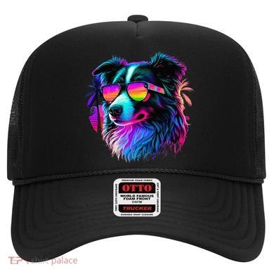 Border Collie Dogs Border Collies Hat