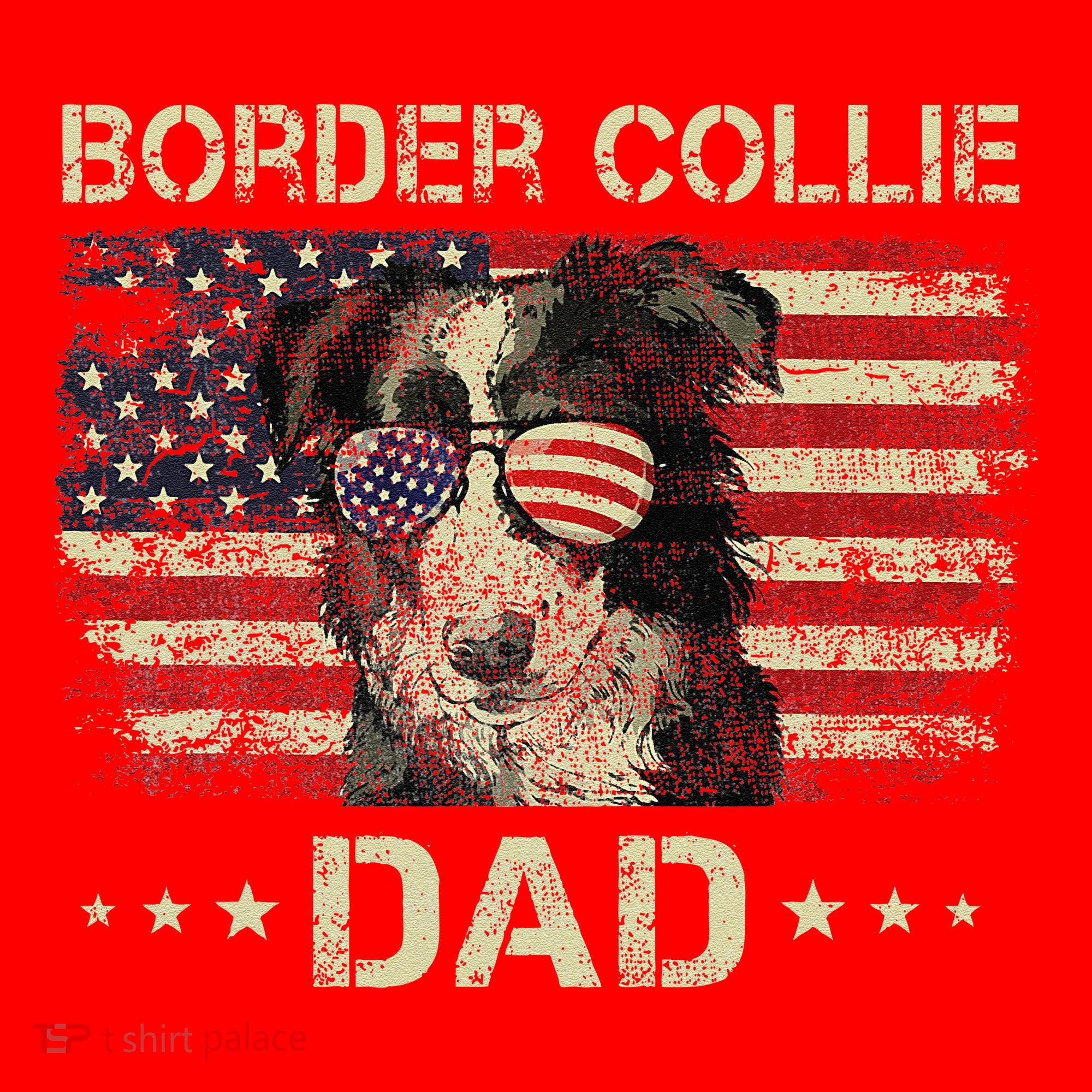 Border Collie Dad Dog Lovers American Flag 4th Of July Santa Hat
