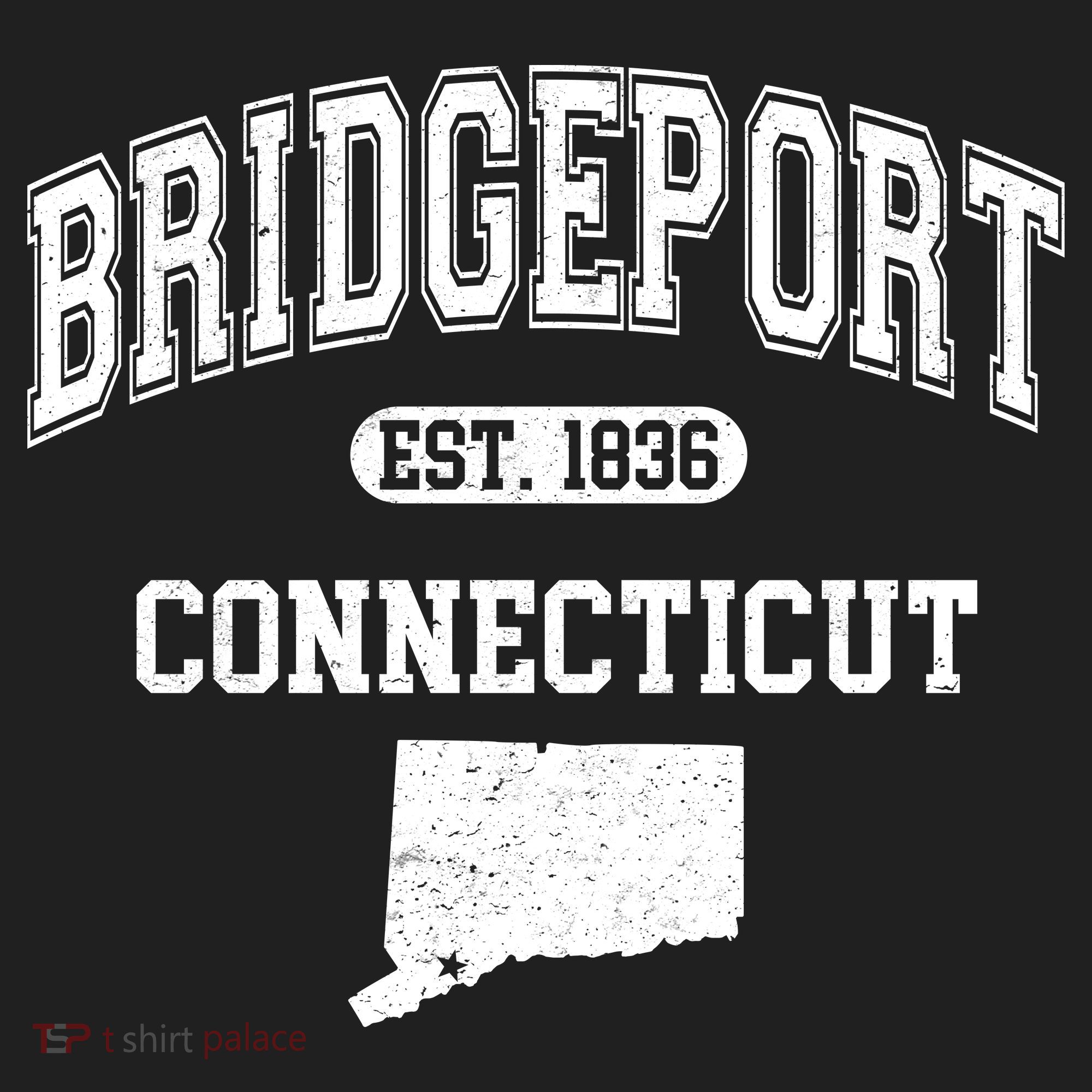 Bridgeport Connecticut Est. 1836 Varsity Beanie