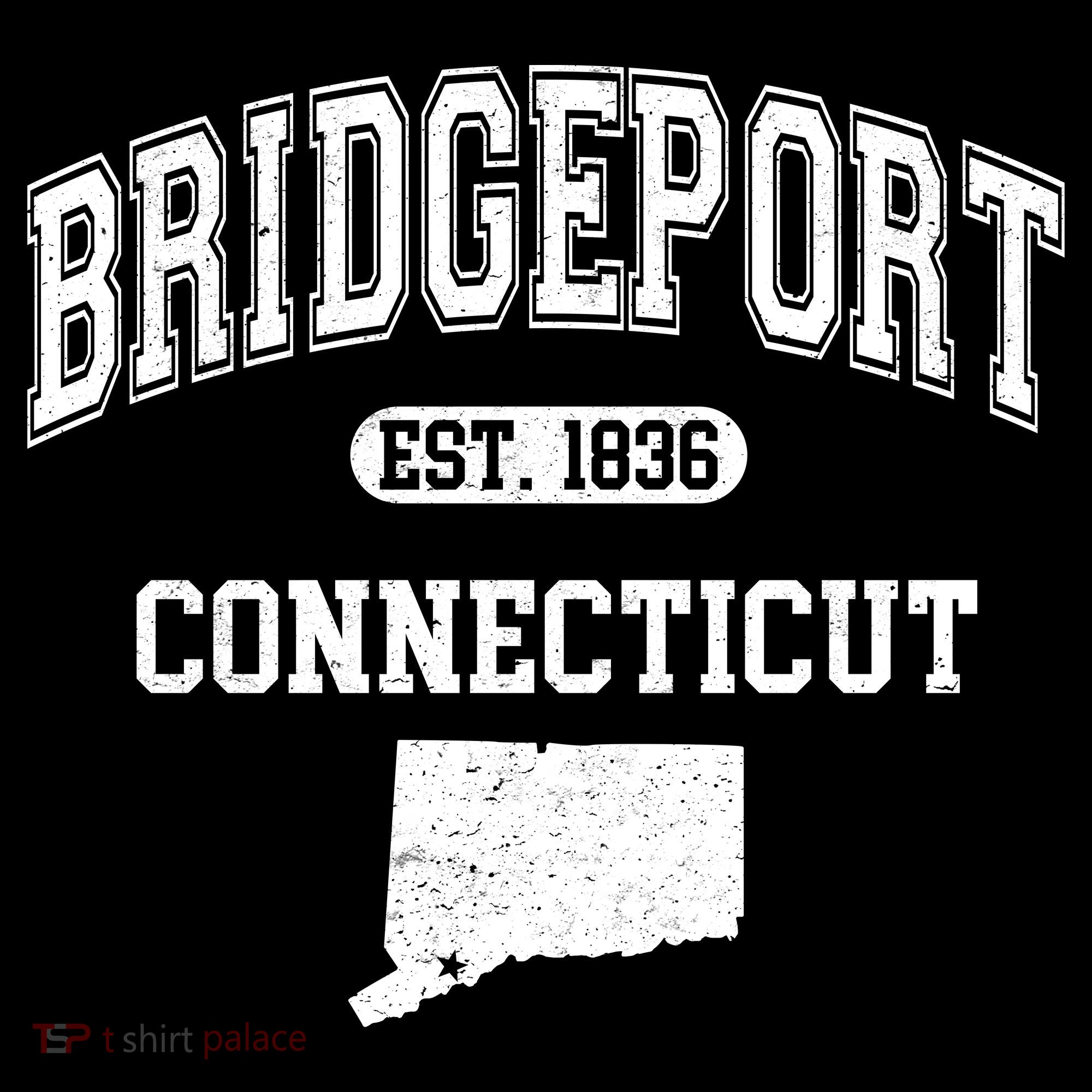 Bridgeport Connecticut Est. 1836 Varsity Women's Hoodie
