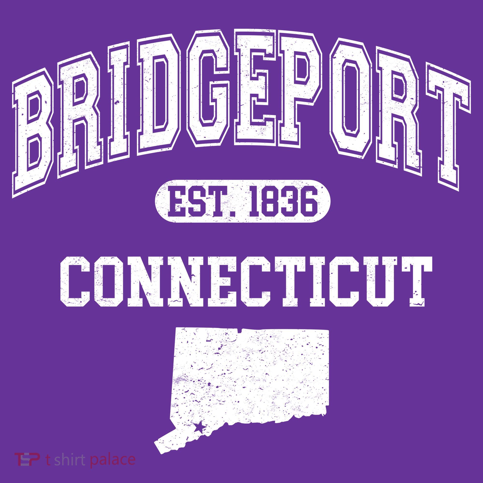 Bridgeport Connecticut Est. 1836 Varsity Apron