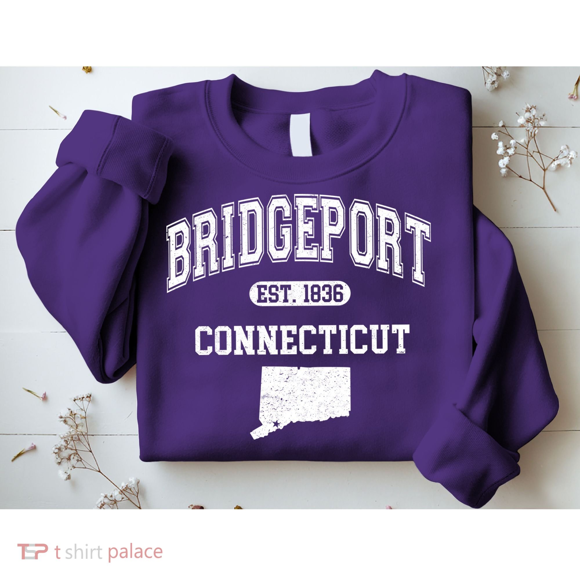 Bridgeport Connecticut Est. 1836 Varsity Sweatshirt